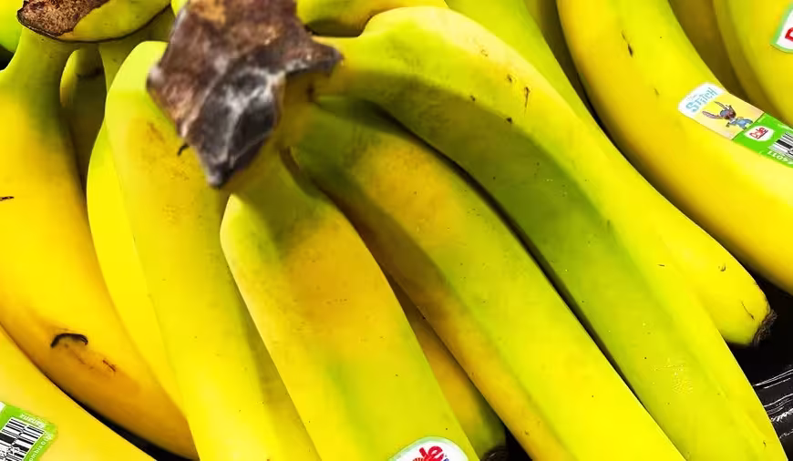 تقرير يكشف علاقة لون الموز بفوائده الصحية