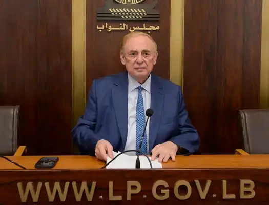 نصيحة من البستاني للحكومة حول مشروع الانتظام المالي!