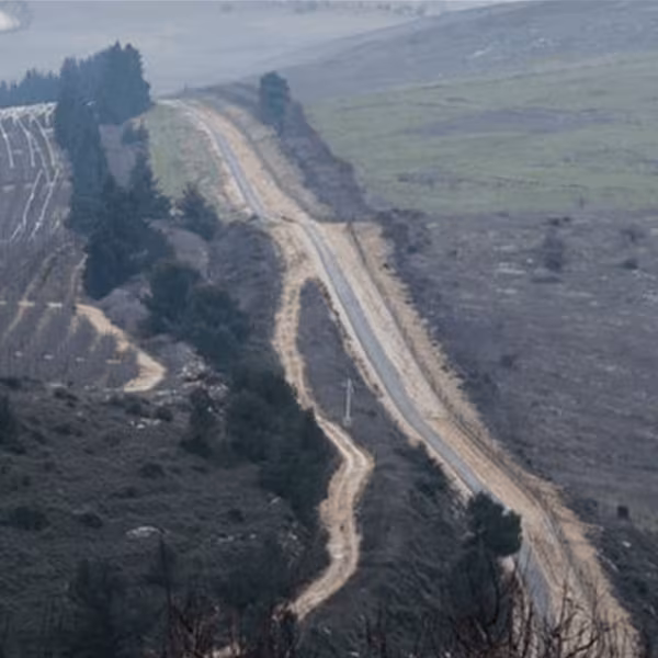 على الحدود.. تهاون بهذا النوع من التهريب