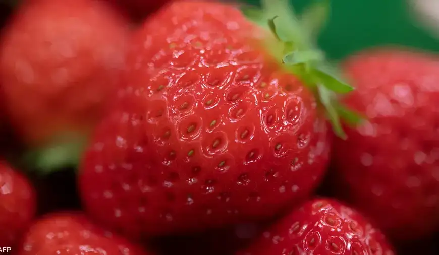 لتعزيز جهاز المناعة.. ٧ فواكه غنية بفيتامين “سي”