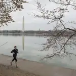 هوبس يواصل الصحوة… انتصار ثالث تواليًا على حساب NSA