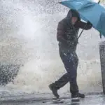 أفضل ١٠ أنواع من البذور لصحة القلب