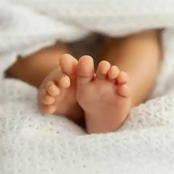 فضيحة بيع الأطفال تعود… طبيب يُزوّر الولادة وشبكات…