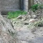 من الشاشات إلى الواقع: الهجمات الإلكترونية على النساء تبلغ مستوى خطيراً