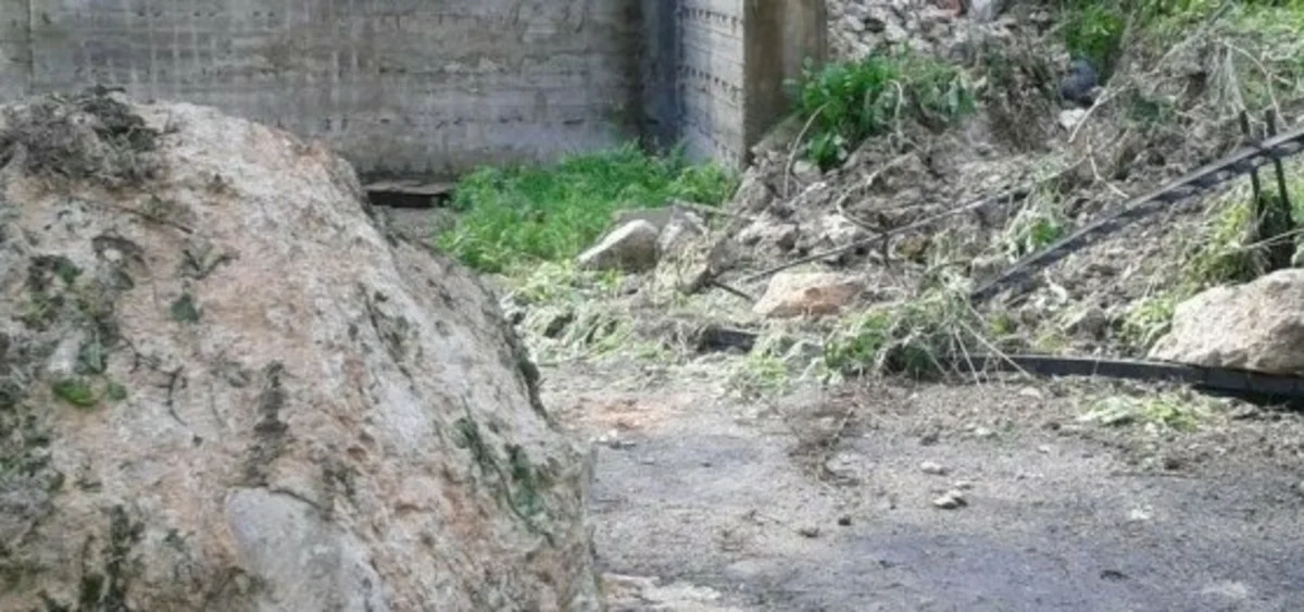 Cropped 8031127 1424181841 1