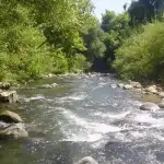 سلام يترأس جلسة مجلس الوزراء في السرايا