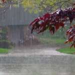 أمطار وثلوج في طريقها إلينا… وتحذير من الجليد