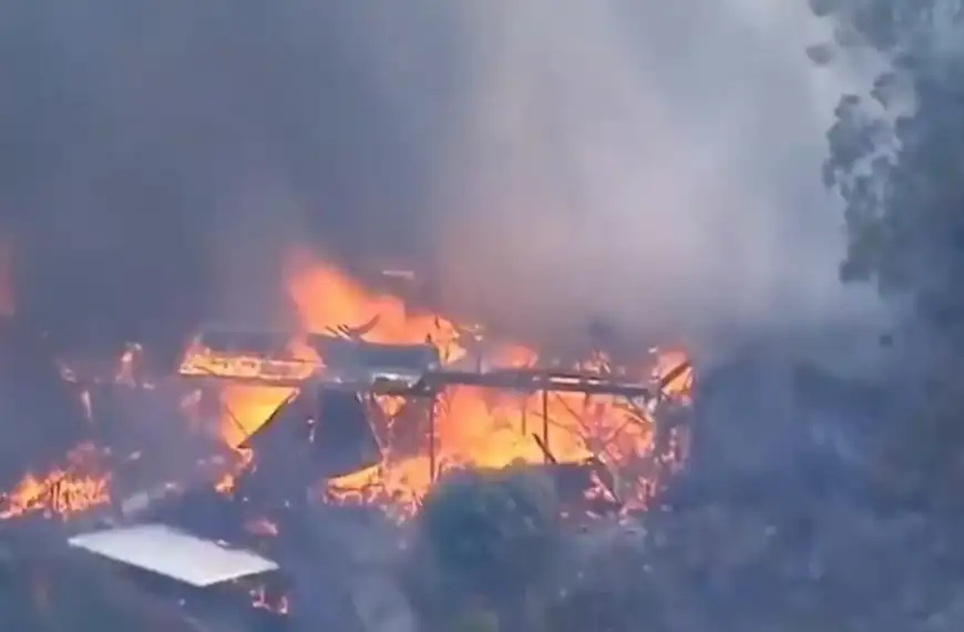 بالفيديو- في أوستراليا، النيران تلتهم المنازل