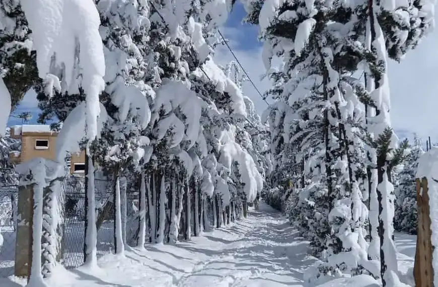 بالفيديو- ثلوج كثيفة تغطّي جرد مربين في الضنية