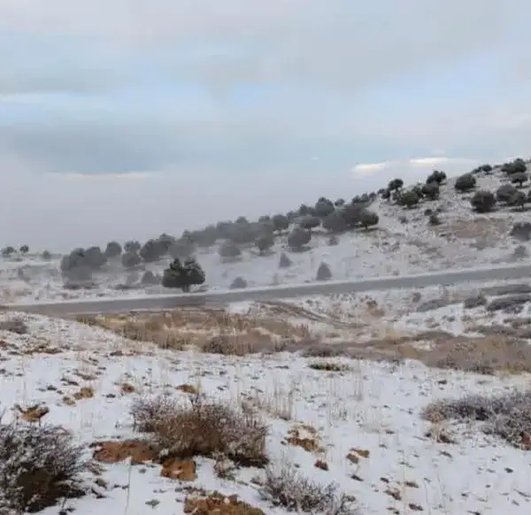 أجواء باردة وتحذير من خطر الانزلاقات… كيف سيكون&hellip;