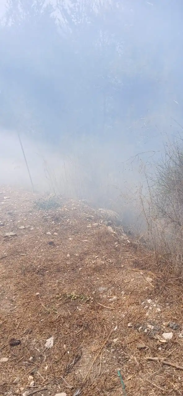 بالفيديو- حريق في منطقة البركات حيّ السلّم