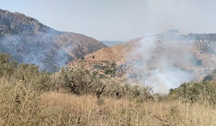 حريق كبير يلتهم كروم زيتون بين باريش ومعروب