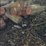 مخزن من نوع آخر في الجنوب… وقوى الأمن تتحرّك