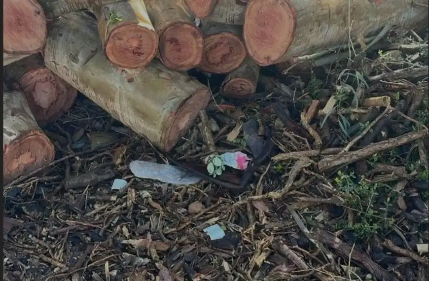 مخزن من نوع آخر في الجنوب… وقوى الأمن…