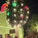 مغدوشة أضاءت شجرة الميلاد