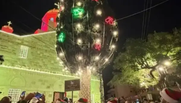 مغدوشة أضاءت شجرة الميلاد