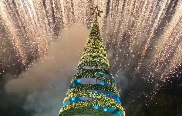 إضاءة شجرة الميلاد في الجديدة – زغرتا