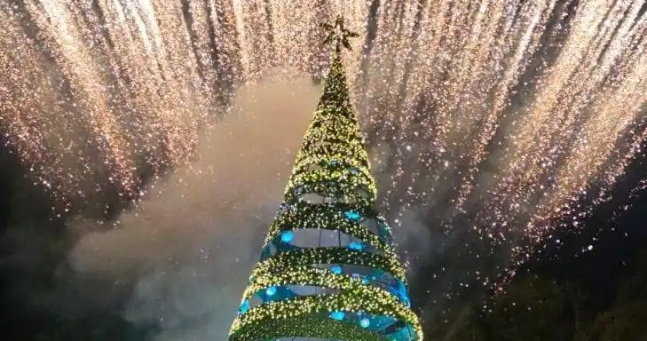 شجرة-الميلاد