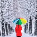 منخفض بارد وعاصف، وثلوج على ارتفاع 1800 متر