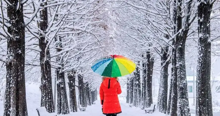 منخفض بارد وعاصف، وثلوج على ارتفاع 1800 متر