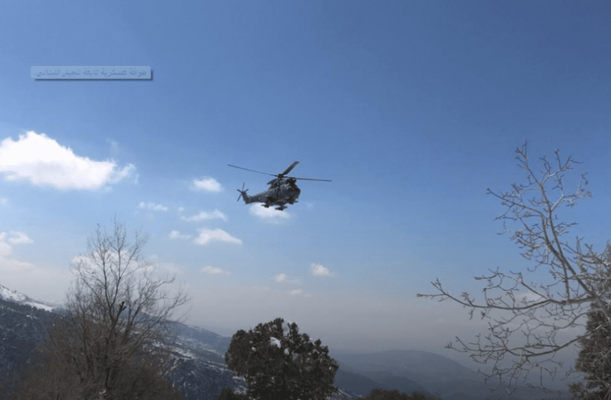 بالفيديو- جولة لوفد السفراء والملحقين العسكريين في الجنوب