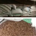 جمارك الشمال ضبطت كمية كبيرة من الدخان والمواد الغذائية المهربة