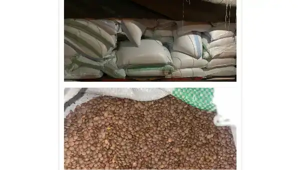 جمارك الشمال ضبطت كمية كبيرة من الدخان والمواد…