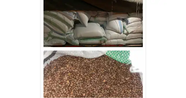 جمارك الشمال ضبطت كمية كبيرة من الدخان والمواد…