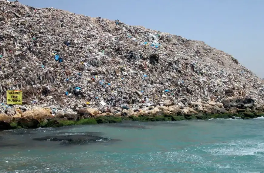 غرفة تجارة صيدا: معمل معالجة النفايات يهدّد الاقتصاد…