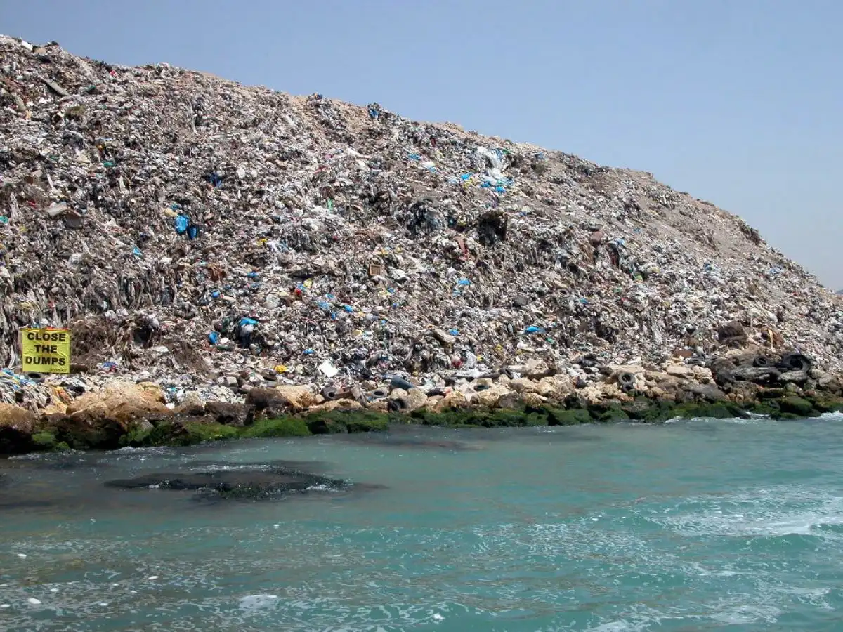 مكب-الفايات-في-صيدا