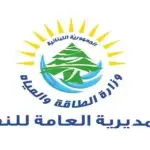 الطاقة: البستاني بنت المنظومة وإجراءات الصّدي سهّلت عمل الجمارك