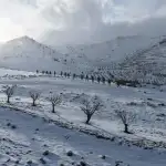 لبنان يترقّب ترددات الحدث الفنزويلي بـ”حياد” اجتماعات الأسبوع تحسم “توصيف” جنوب الليطاني