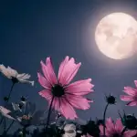 لودريان لن يشارك في اجتماع الميكانيزم… ما السبب؟