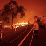 جديد الرئيس الأميركي: “Happy Trump”