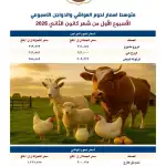 فيديو لأب سوري يعتدي على ابنته في لبنان يناشر عبر وسائل التواصل