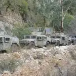 الزبيدي هرب إلى مكان مجهول