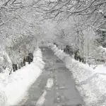 وزير الداخلية جال في مبنى هيئة إدارة السير وغرفة التحكم المروري