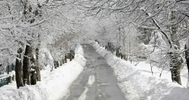 الثلج لبنان