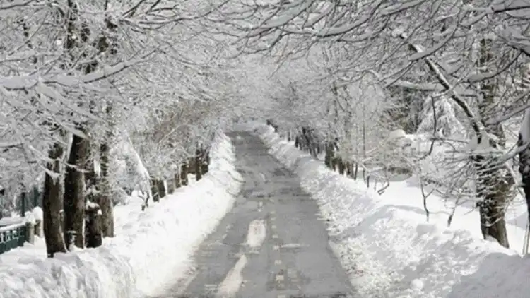 الثلج لبنان