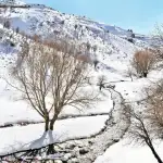 في دار الفتوى، خلوة بين دريان وسلام