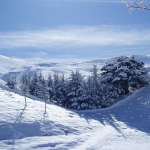 مشاهد للعاصفة في بيروت قرب الزيتونة باي