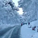 مدرّب مانشستر يونايتد الجديد… اختيار من داخل البيت