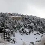 الذهب يتخطّى الـ 4600 دولار للأونصة