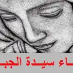 جديد قضيّة أبو عمر، الإستماع إلى نائب ومرشّح بصفة شهود